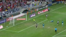 Brasil: Botafogo 1-1 Goias