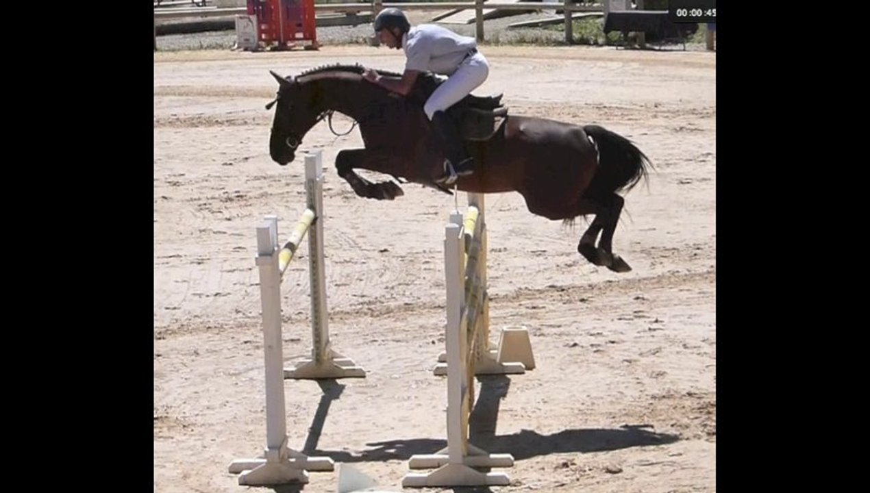 POT D'AMOUR Grand Prix Pro1 140 Barbaste le 11 08 2013