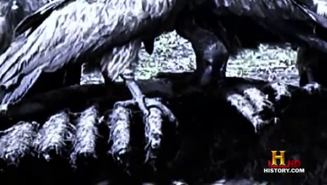 As Previsões de Nostradamous - Apocalipse, 7 selos e os 4 cavaleiros