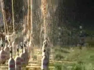 Coca Mentos Dominos Experiments