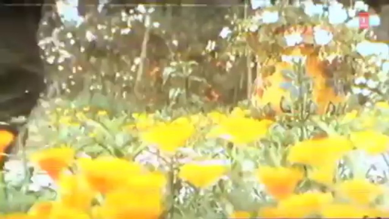 Hathkadhiyan Pahenungi Full Song _ Insaaf Kaun Karega _ Dharmendra, Rajnikant, Jayaprada