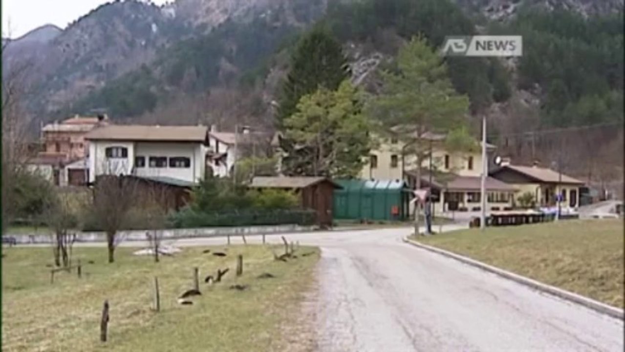 TRONCO SULLA TESTA, MUORE OPERAIO