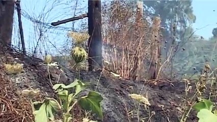 Campania - Televomero TG (02.08.13)