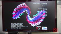 Napoli - Al Tigem scoperta alta velocità del corpo umano (06.08.13)