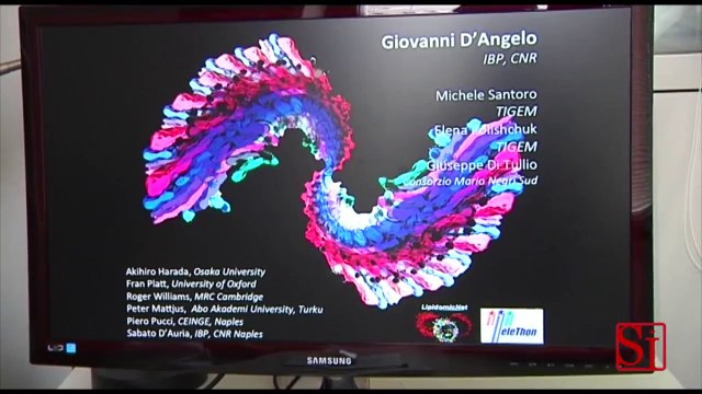 Napoli - Al Tigem scoperta alta velocità del corpo umano (06.08.13)