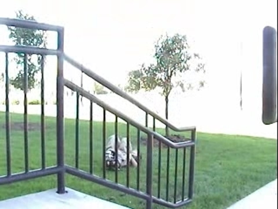 rail-blade