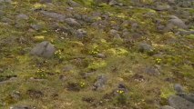 Alexander, garde du parc naturel de Tikhaya nous parle de sa mission, de l'histoire de la base et de l'activité touristique estivale © A.Deniaud/francetv nouvelles écritures/Thalassa/Tara Expéditions