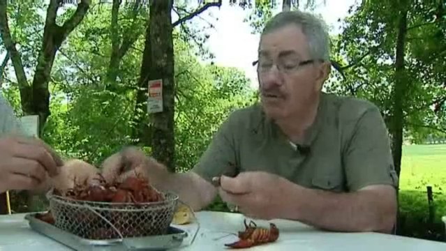 La pêche aux écrevisses dans les rivières du Morvan