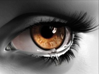 The Everly brothers sing BROWN EYES  ( from CD - Some Hearts )