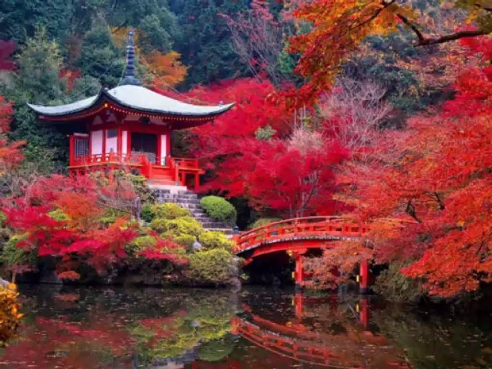 ウェブ記者ハーバートビアンキ - 日本