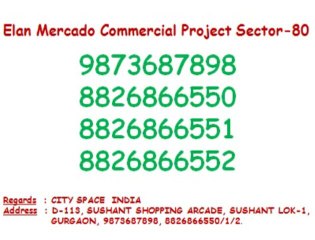 Mercado~#~8826866550~#~Elan Commercial Sector 80 nh 8