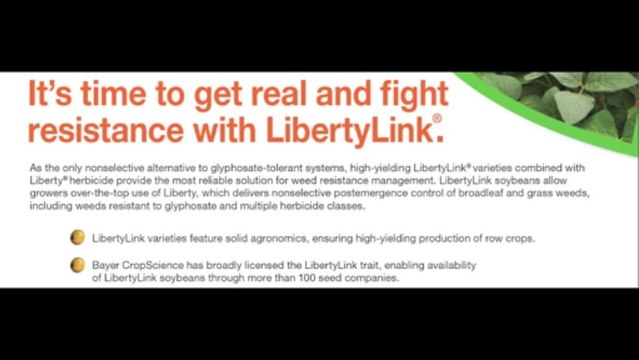 LibertyLink Seed Varieties - Soybean Product Guide 2013