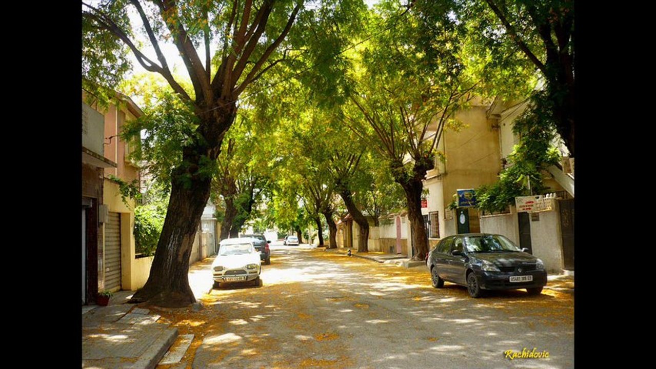 Algérie : la "ville des roses" avec Mohamed Tobal