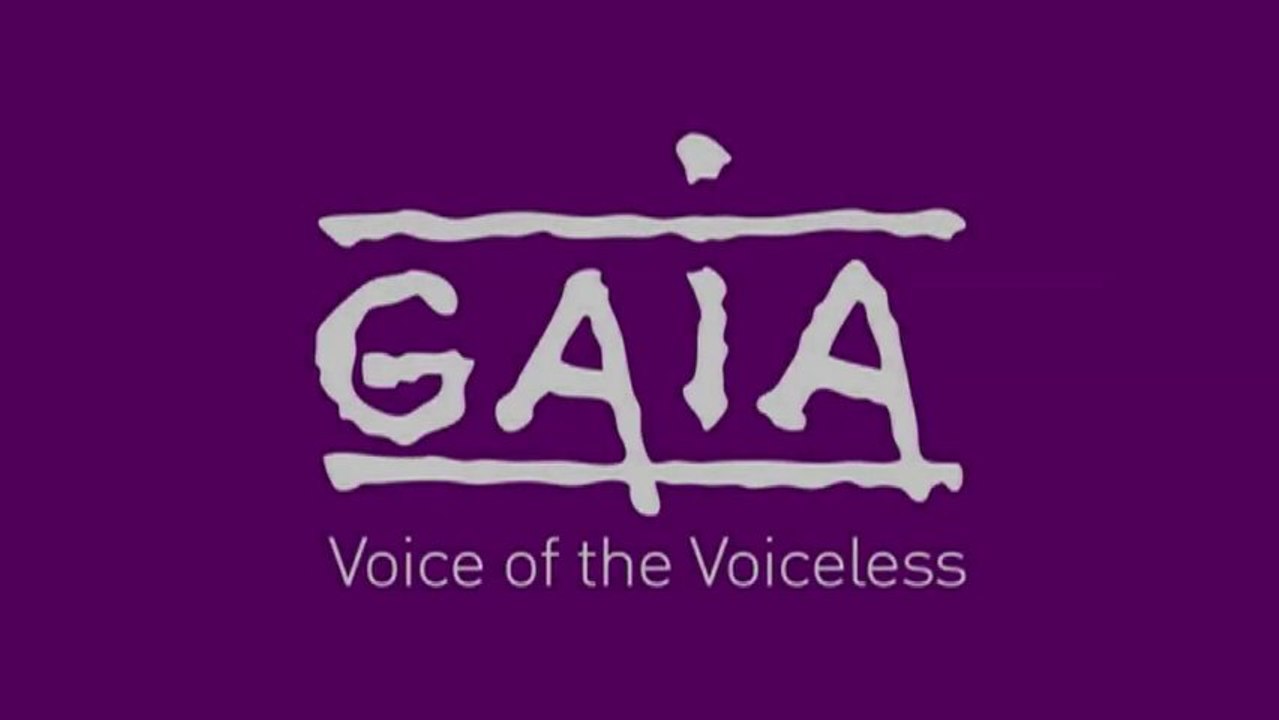 GAIA - Viande de cheval - Mettons leur souffrance en echec
