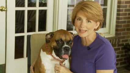 How to choose the right dog food