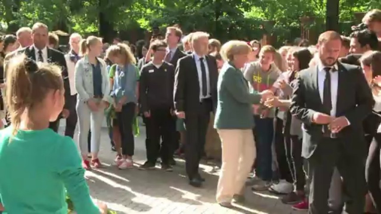 Professora Merkel