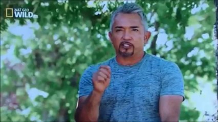 César Millan Fr S01 Ep08 sur 12