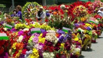 Colombian city holds dazzling flower festival