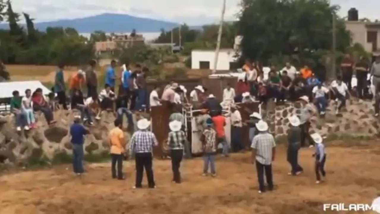 Super Seleção dos Idiotas 2013 ( Cassetadas)