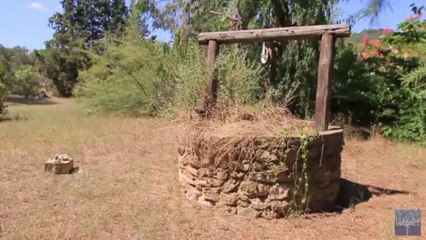 Vente maison Vidauban