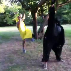 Pas touche aux bananes!!! Gros kick dans la tête du gorille...