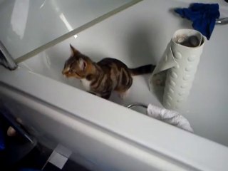 Ares-Apollo wiping his face