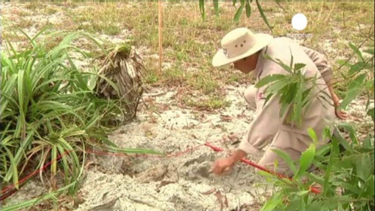 Bucks for bombs: austerity pushes rural Vietnamese to...