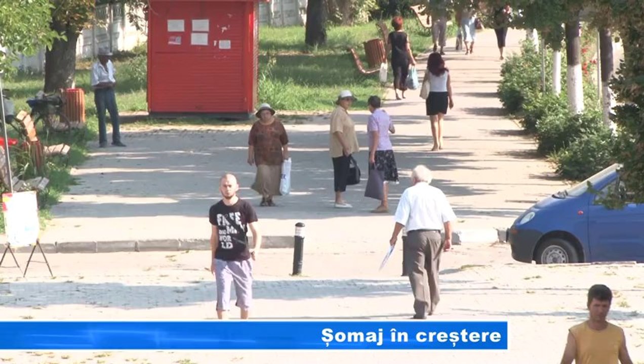 Somaj in crestere