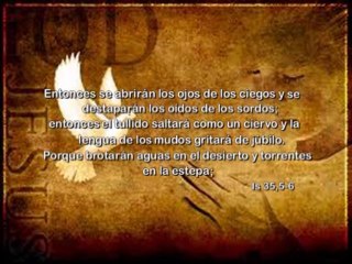 Spot Catedral Misa 16-8-13