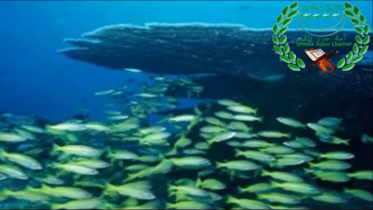Twala3al-Badru(Mayotte)HD