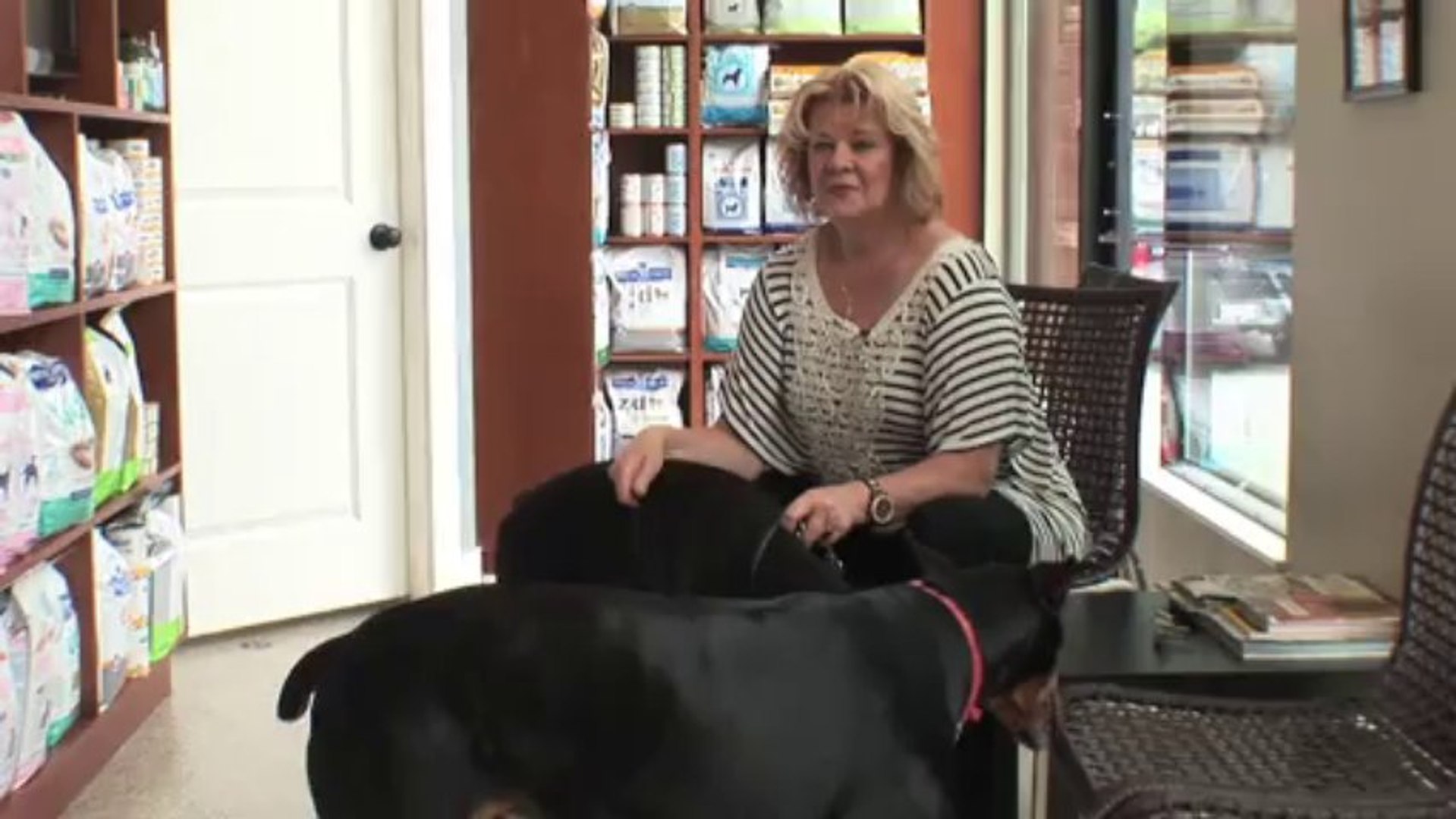 ⁣Welcome to Head to Tail Veterinary Hospital