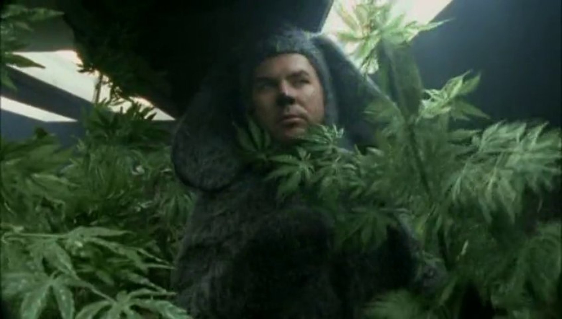 Wilfred Review: A boy and his dog….sort of? | Seth Newman's Mind Puke, image size:1905x1080