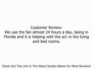 Dyson AM01 12" table fan-Silver Review