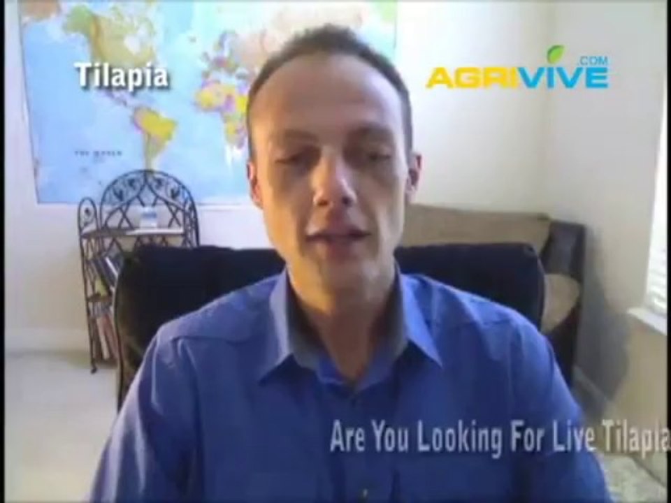 Intensive Tilapia Farming, Where is Tilapia Farmed, How Are Tilapia Farmed, YouTube Tilapia Farming