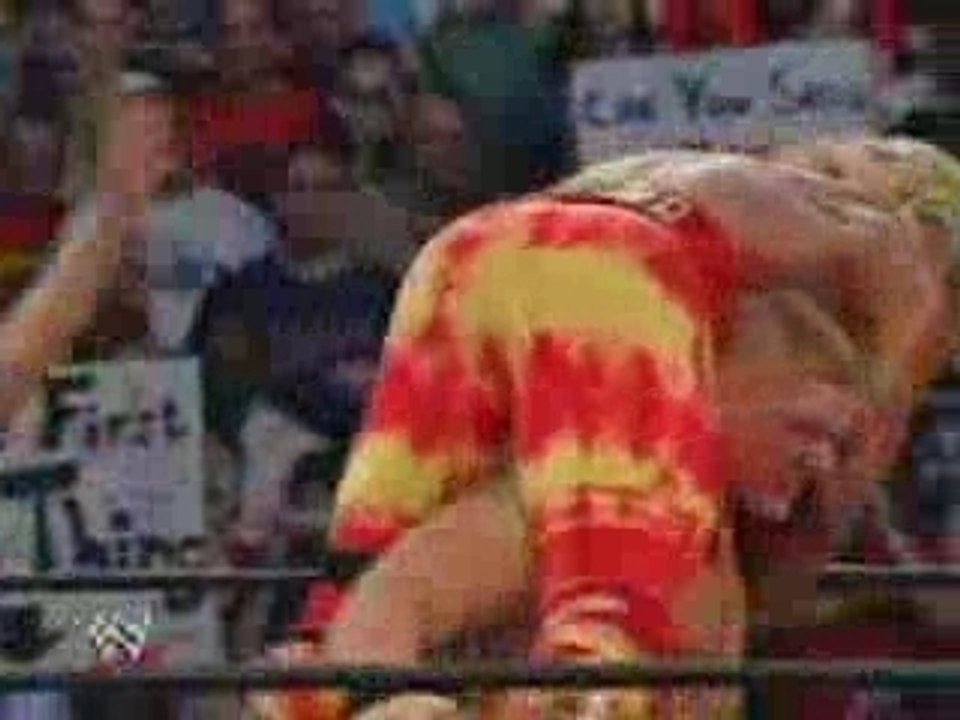 Lesnar WWE