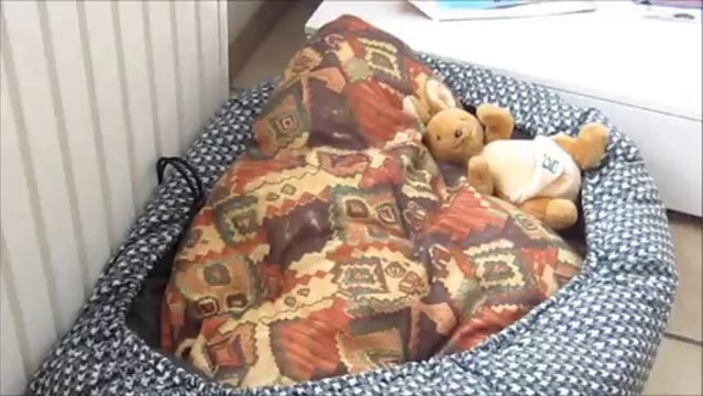 Partie de cache cache