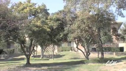 Arborstone Apartments in Dallas, TX - ForRent.com