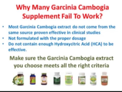 Garcinia Cambogia Extract Reviews Session 3