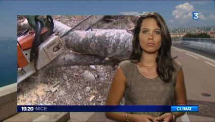 Le parc d'Estienne d'Orves a rouvert ses portes