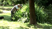 Le Bois de Vincennes terrain de chasse des photographes de la faune et de la flore rencontre avec Maxim Parisy