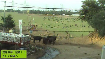 2013-08-13 16-45　牧場