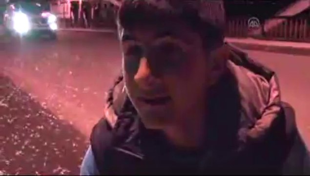 Kelebeklerin ölüm uçuşu