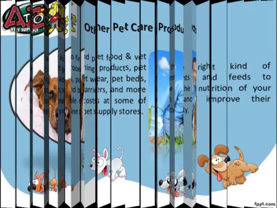 Procure Wholesale Pet Supplies Online At Affordable Costs