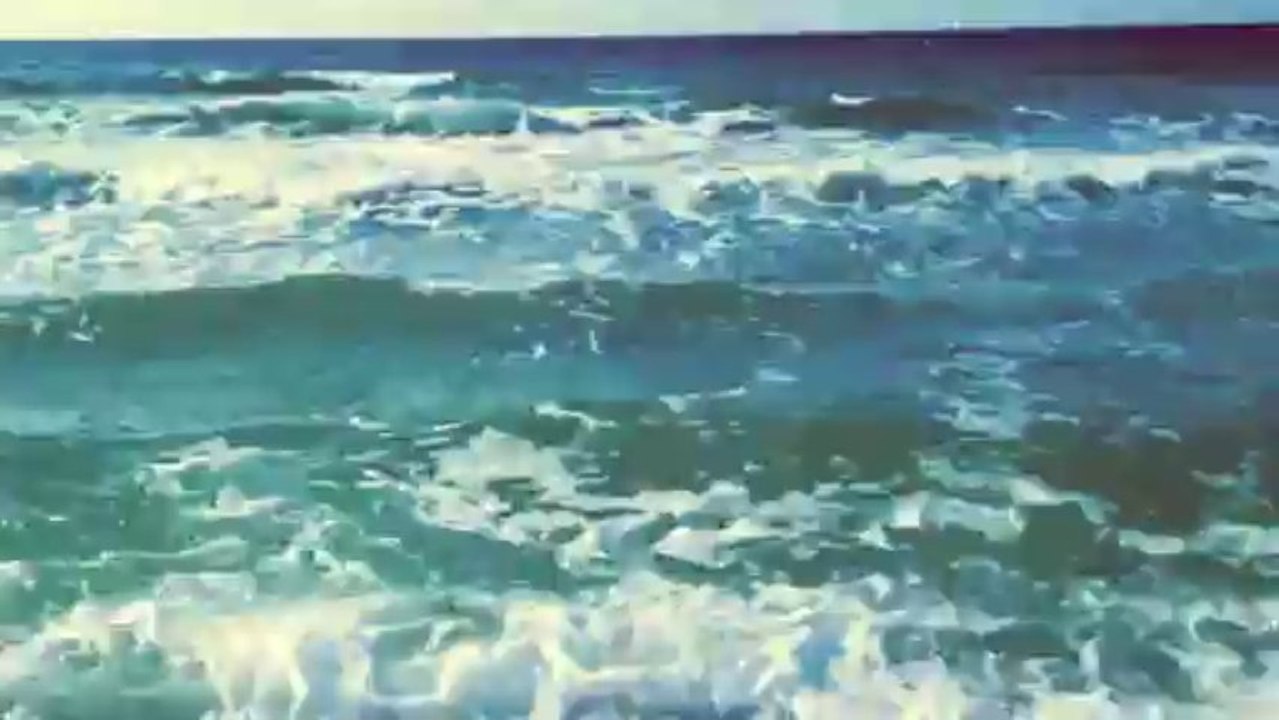 The Sea .
