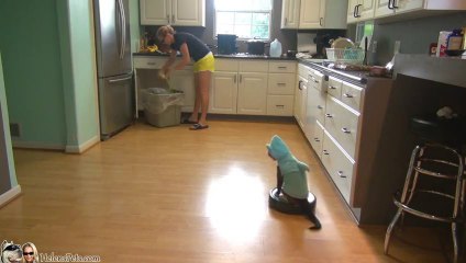 Un chat déguisé en requin sur un aspirateur automatique... WTF?!?