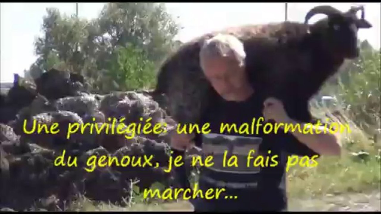 Changement de pâture.