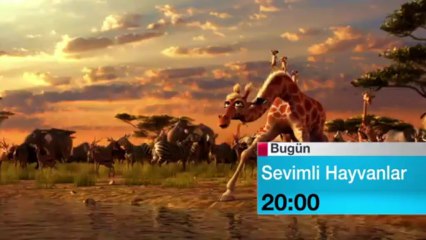 SEVIMLI HAYVANLAR B2