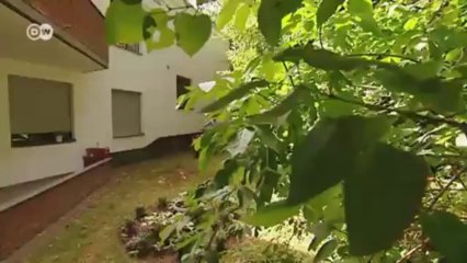 iBullit: la bicicleta eléctrica de carga | Hecho en Alemania