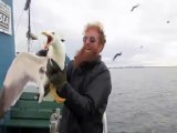 Fisherman catches seagull mid-air