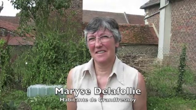 Jardinage : l'intérêt des plantes associées dans un potager